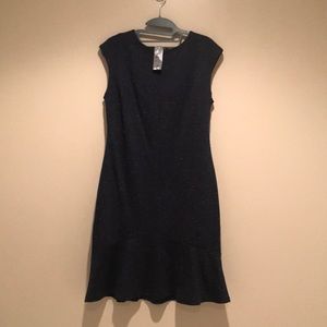 Ann Taylor Dress